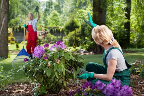 A structured tree surgeon complaints process with fair resolution